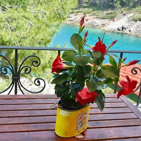 Bay Vrboska